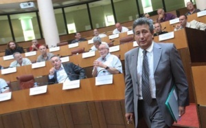 U Cunsigliu Icunomicu, Suciali è culturali / Le Conseil économique, social et culturel de Corse (CESC de Corse)