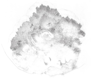 "Rendre accessible l'art contemporain, création originale, innovante et parfois complexe" "Rendre accessible l'art contemporain, création originale, innovante et parfois complexe"