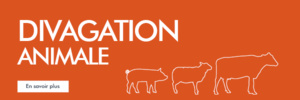 Environnement et développement durable - Conférence permanente