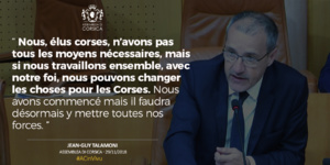 "Ghjilecchi gialli : a so zerga, a pudemu capisce" "Ghjilecchi gialli : a so zerga, a pudemu capisce"