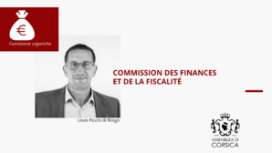 La Commission des finances et de la fiscalité La Commission des finances et de la fiscalité