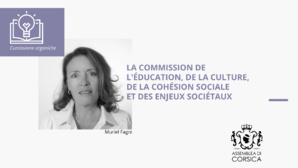 La Commission de l'éducation, de la culture, de la cohésion sociale et des enjeux sociétaux La Commission de l'éducation, de la culture, de la cohésion sociale et des enjeux sociétaux