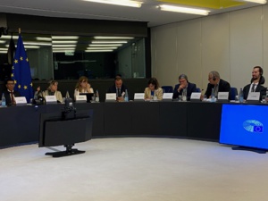 Adoption du rapport Omarjee sur les îles et la politique de cohésion - Intervention de la Présidente de l'Assemblée au Parlement Européen