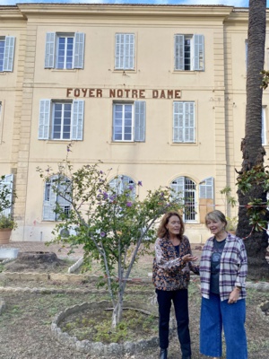 Commission de l’Education, de la Culture, de la Cohésion Sociale et des Enjeux Sociétaux Commission de l’Education, de la Culture, de la Cohésion Sociale et des Enjeux Sociétaux