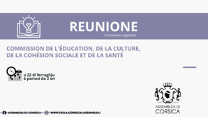 Commission de l’Education, de la Culture, de la Cohésion Sociale et des Enjeux Sociétaux 