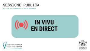 Suivez en direct la séance publique des 30 novembre et 1er décembre 