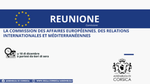 Réunion de la Commission des affaires européennes, des relations internationales et méditerranéennes 
