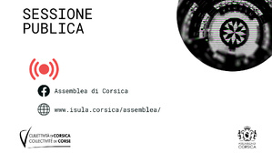 Séance extraordinaire du 13 février 2025 Séance extraordinaire du 13 février 2025