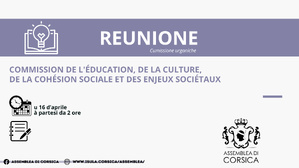 Commission de l’Education, de la Culture, de la Cohésion Sociale et des Enjeux Sociétaux Commission de l’Education, de la Culture, de la Cohésion Sociale et des Enjeux Sociétaux