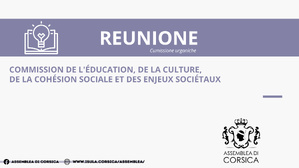 Commission de l’Education, de la Culture, de la Cohésion Sociale et des Enjeux Sociétaux 