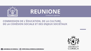 Commission de l’Education, de la Culture, de la Cohésion Sociale et des Enjeux Sociétaux Commission de l’Education, de la Culture, de la Cohésion Sociale et des Enjeux Sociétaux