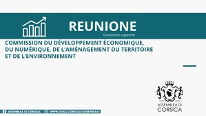 Commission du développement économique, du numérique, de l’aménagement du territoire et de l’environnement Commission du développement économique, du numérique, de l’aménagement du territoire et de l’environnement