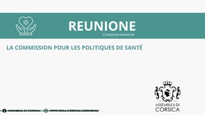 Commission des Politiques de Santé Commission des Politiques de Santé