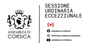 Session ordinaire exceptionnelle du 4 novembre 2026