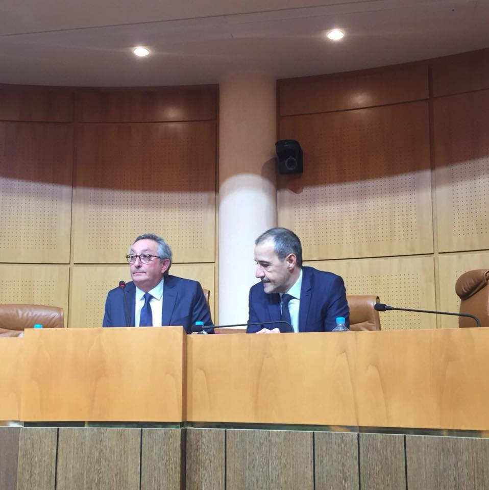 Séance d'installation du Conseil Economique, Social, Environnemental et Culturel de la Corse