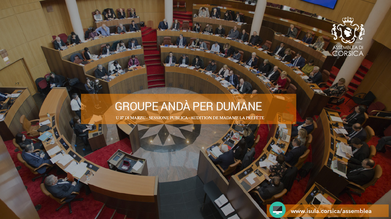 Audition de la Préfète de Corse : les questions du groupe Andà Per Dumane