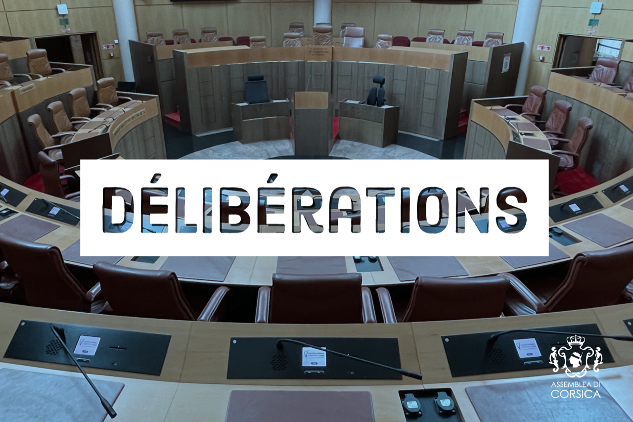 Les délibérations de la séance d'installation de l'Assemblée de Corse sont en ligne 