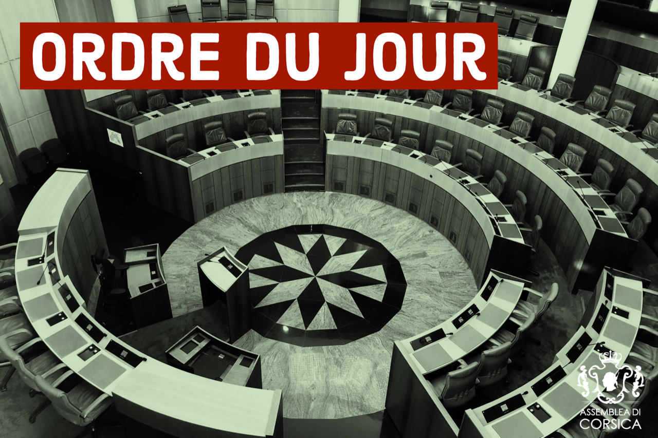 Consultez l'ordre du jour de la séance publique des 21 et 22 décembre 2020