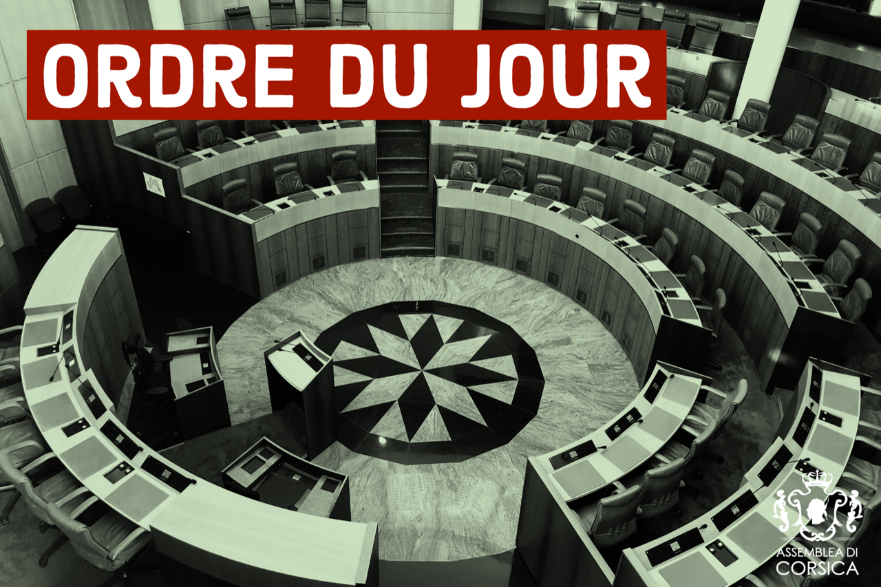 Consultez l'ordre du jour de la séance publique des 28 et 29 janvier 2021