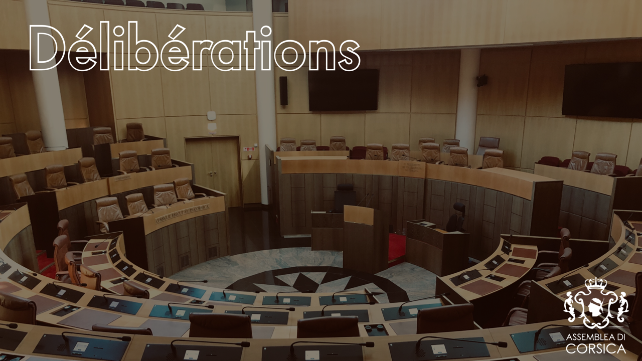 Les délibérations de la séance publique de l'Assemblée de Corse des 29 et 30 avril sont en ligne 