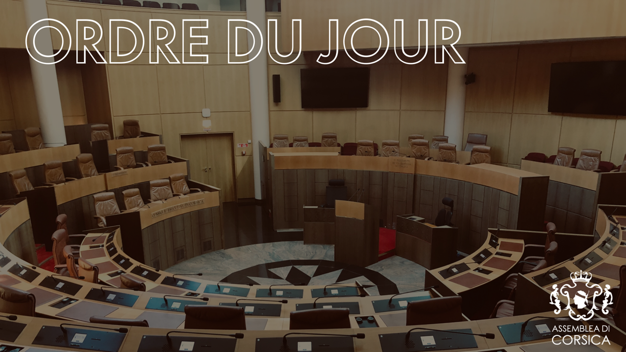 Consultez l'ordre du jour de la séance publique des 25 et 26 février 2021