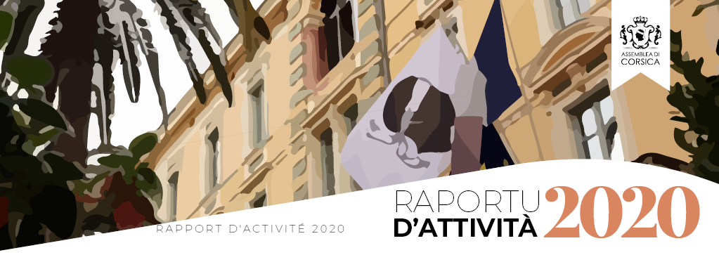 Rapport d'activité 2020 de l'Assemblée de Corse
