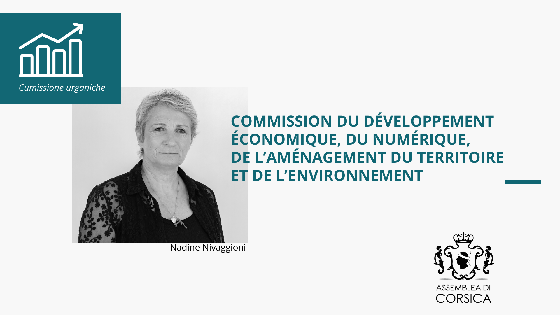 La Commission du développement économique, du numérique, de l'aménagement du territoire et de l'environnement
