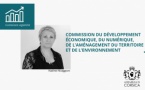 La Commission du développement économique, du numérique, de l'aménagement du territoire et de l'environnement