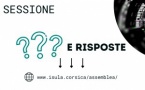 Les réponses aux questions orales de la séance publique de l'Assemblée de Corse du 1er février sont en ligne 