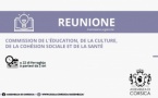 Commission de l’Education, de la Culture, de la Cohésion Sociale et des Enjeux Sociétaux 