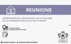 Commission de l’Education, de la Culture, de la Cohésion Sociale et des Enjeux Sociétaux 