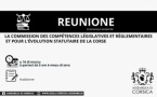 Commission des Compétences Législatives et Réglementaires et pour l’Evolution Statutaire de la Corse
