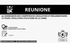 Commission des Compétences Législatives et Réglementaires et pour l’Evolution Statutaire de la Corse
