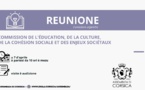 Commission de l’Education, de la Culture, de la Cohésion Sociale et des Enjeux Sociétaux 