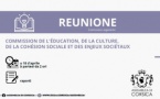 Commission de l’Education, de la Culture, de la Cohésion Sociale et des Enjeux Sociétaux 