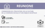 Commission de l’Education, de la Culture, de la Cohésion Sociale et des Enjeux Sociétaux 
