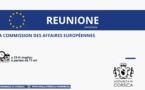 Réunion de la Commission des affaires européennes, des relations internationales et méditerranéennes 