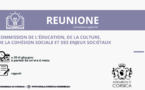 Commission de l’Education, de la Culture, de la Cohésion Sociale et des Enjeux Sociétaux 