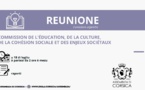 Commission de l’Education, de la Culture, de la Cohésion Sociale et des Enjeux Sociétaux  Commission de l’Education, de la Culture, de la Cohésion Sociale et des Enjeux Sociétaux