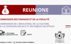 Commission des Finances et de la Fiscalité et Commission de l’Education, de la Culture, de la Cohésion Sociale et des Enjeux Sociétaux