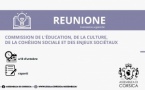 Commission de l’Education, de la Culture, de la Cohésion Sociale et des Enjeux Sociétaux 