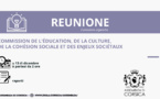 Commission de l’Education, de la Culture, de la Cohésion Sociale et des Enjeux Sociétaux 