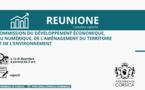 Commission du développement économique, du numérique, de l’aménagement du territoire et de l’environnement