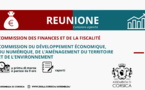 Commission du Développement Economique, du Numérique, de l’Aménagement du Territoire et de l’Environnement et la Commission des finances et de la fiscalité