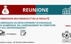 Réunion conjointe de la Commission du développement économique, du numérique, de l'aménagement du territoire et de l'environnement et de la Commission des finances et de la fiscalité 