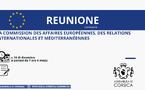 Réunion de la Commission des affaires européennes, des relations internationales et méditerranéennes 