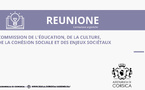 Commission de l’Education, de la Culture, de la Cohésion Sociale et des Enjeux Sociétaux 