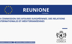 Commission des affaires européennes, des relations internationales et méditerranéennes 