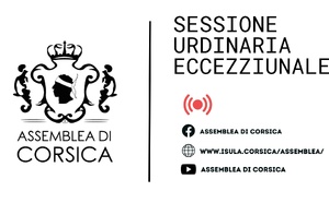 Session ordinaire exceptionnelle du 4 novembre 2026