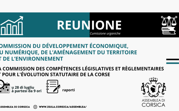 Commission du Développement Economique, du Numérique, de l’Aménagement du Territoire et de l’Environnement et la Commission des Compétences Législatives et Réglementaires et pour l'Evolution Statutaire de la Corse